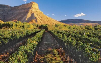 2 Lots Ready To Build